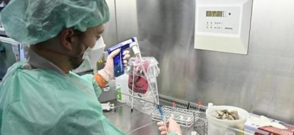 Covid-19, in Alto Adige quasi 500 nuovi casi e 1 decesso: stabili i ricoveri in terapia intensiva